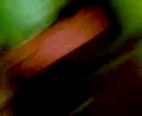 Просмотреть фильм с азиатками