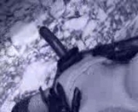 Пятачок Дэррил смотрел на домашнее порно