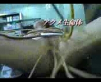 Зрелый интим домашний видео, круто и откровенно