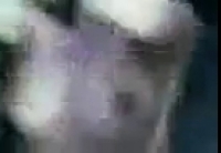 Посмотреть бесплатное порно с грузинками