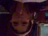 порно фото кавказские тетки
