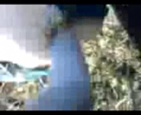 Ба точики, очень вульгарно и непристойно