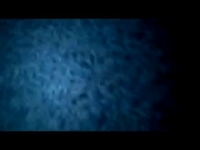 Бурятки без трусов в откровенном видео